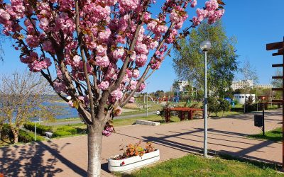 Totul va fi bine in Statiunea Balneara Techirghiol